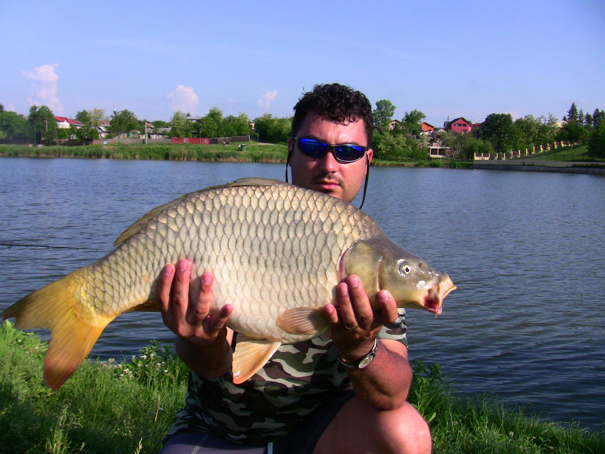 Moara Vlasiei 2012 - IMG_0146.JPG